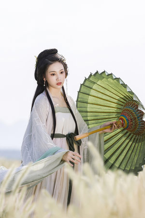 日韩在线观看免费全集电视剧大全